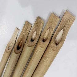 Arabic Calligraphy Bamboo Qalam Reed Pen Set of 5